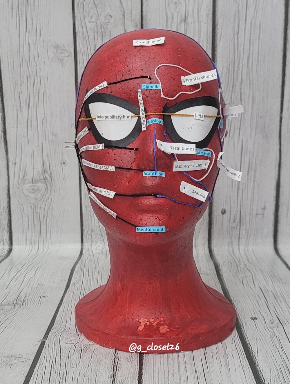 Hand Crafted Labeled Red Mannequin Display Head